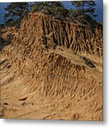 Broken Hill Torrey Pines 1 Metal Print