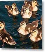 Brothers And Sisters Metal Print