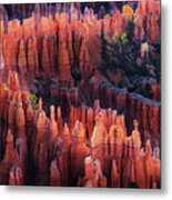 Bryce Canyon At Sunset Metal Print