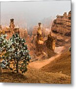 Bryce Canyon National Park Metal Print