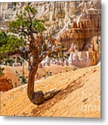 Bryce Canyon Np Metal Print