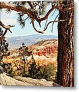 Bryce Canyon Through The Trees Metal Print
