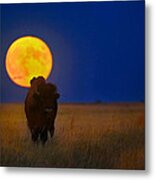 Buffalo Moon Metal Print