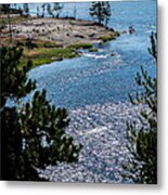 Buffs On River Metal Print