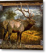 Bugling Elk Metal Print