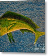 Bull Dolphin Mahimahi Fish Metal Print