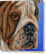 Beautiful Bulldog Oil Painting Metal Print by Michelle Wrighton