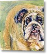 Bulldog Metal Print