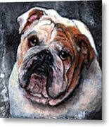 Bulldog Metal Print