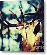 Burling Deer Metal Print