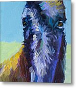 Burro Stare Metal Print