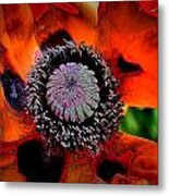 Burst Of Red Metal Print