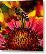 Busy Buzzing Bee Metal Print