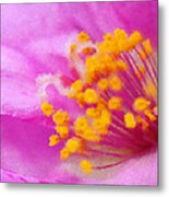 Buttercup Confection Metal Print