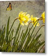Butterfly And Daffodils Metal Print