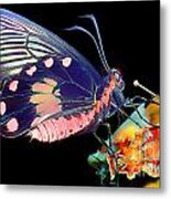 Butterfly Brushed In Water And Wind Metal Print