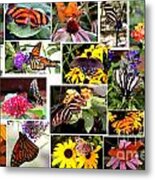 Butterfly Collage Metal Print