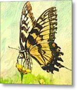 Butterfly Collection Metal Print