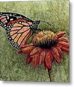 Butterfly In My Garden Metal Print