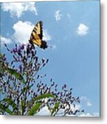 Butterfly In The Wild Metal Print