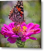 Butterfly Kisses Metal Print