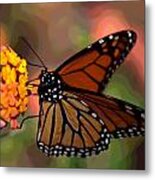 Butterfly On Lantana Metal Print