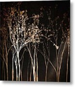 By The Light Of The Moon Metal Print