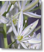 By The Silvery Light Metal Print