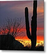 Cactus At Sunset Metal Print