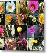 Cactus Collage Metal Print