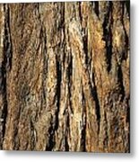 California Redwood Bark Metal Print