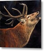 Call Of The Wild Metal Print