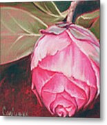 Camelia Metal Print