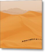 Camels Caravan In Sahara Metal Print
