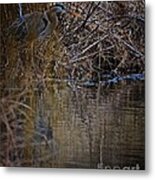 Camouflage Metal Print