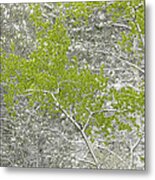 Canadian Spring Landscape Metal Print