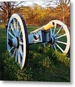 Cannon In The Grass Metal Print