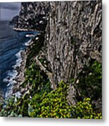 Capri Krupp Path Rocks Coast Metal Print