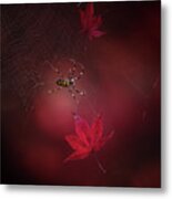 Captured Red Metal Print