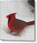 Cardinal In Snow Metal Print