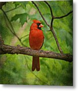 Cardinal In Spring Metal Print