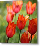 Caressed By The Wind Metal Print