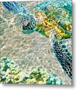Beautiful Sea Turtle Metal Print
