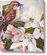 Carolina Wren Metal Print