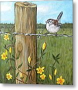 Carolina Wren Metal Print