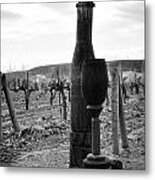 Carved Wine Bottle And Wine Glass Metal Print