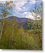 Cascade Mountain Viewed Through Spring Metal Print