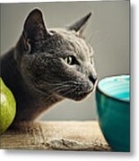 Cat And Pears Metal Print