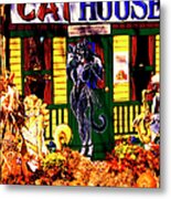 Cat Cat House Metal Print