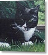 Cat Metal Print